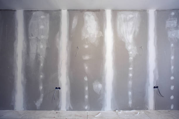 Best Fire-Damaged Drywall Repair  in Newton, IA